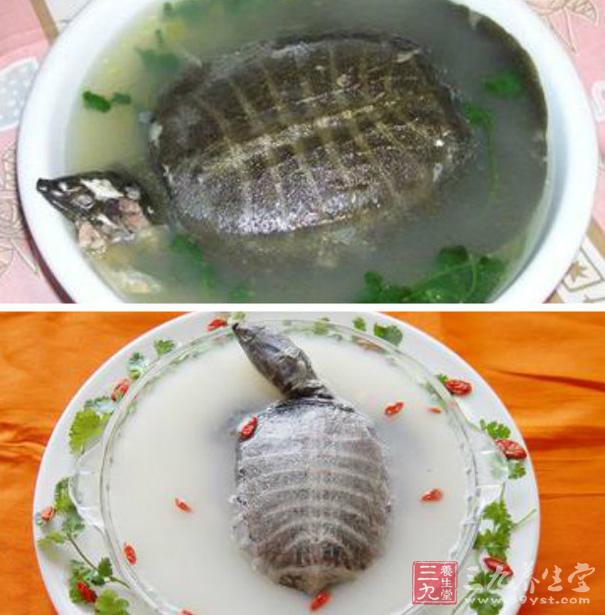 雞火甲魚湯