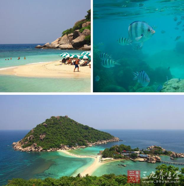 泰国旅游攻略 泰国旅游需注意的事项