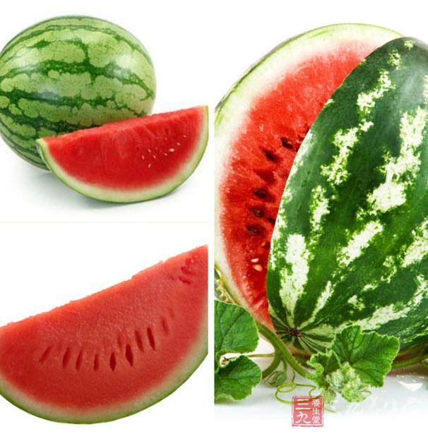 卷心菜