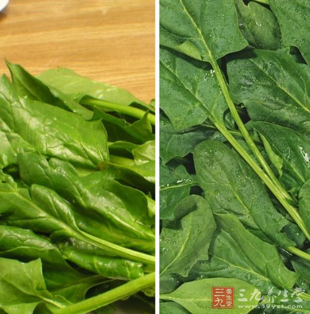 菠菜的營(yíng)養(yǎng)價(jià)值