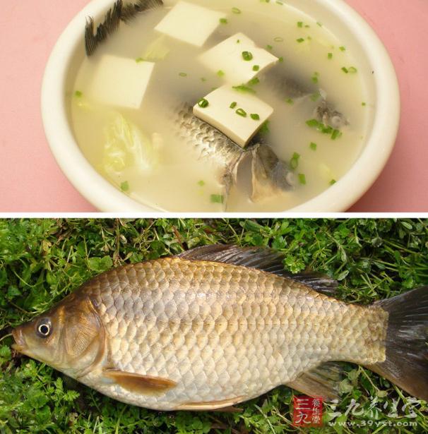 春季鯽魚肥美