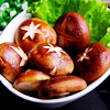 野菌养生营养价高