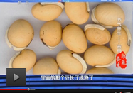 央视健康之路视频全集_高清在线观看 - 三九养