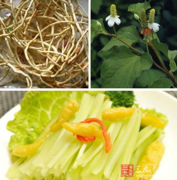 鱼腥草拌莴笋