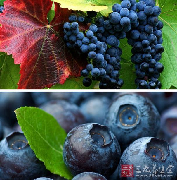 蓝莓的功效与作用 10种功用被誉“超级水果”