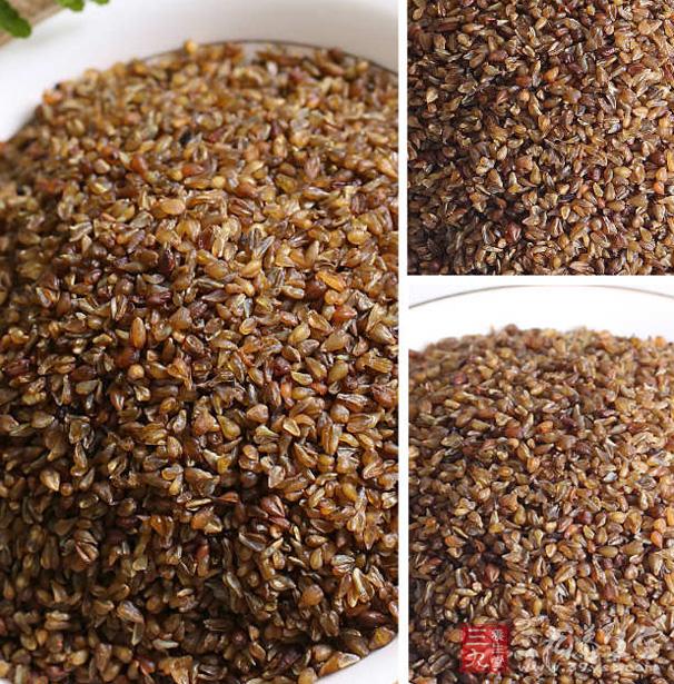 苦荞茶的养生功效 它能保护心肌吗-三九养生堂