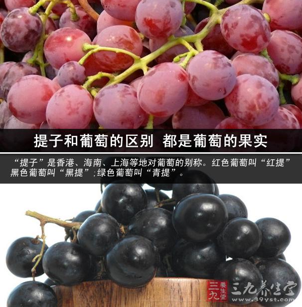 提子和葡萄的区别 都是葡萄的果实