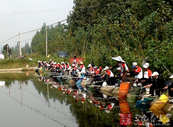 溪流的水与河川一样是流动的，但因流动的速度不同，便有急流、缓流和平流之分