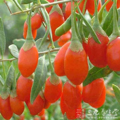 吃什么治内分泌失调 6种食谱教你避免内分泌失调