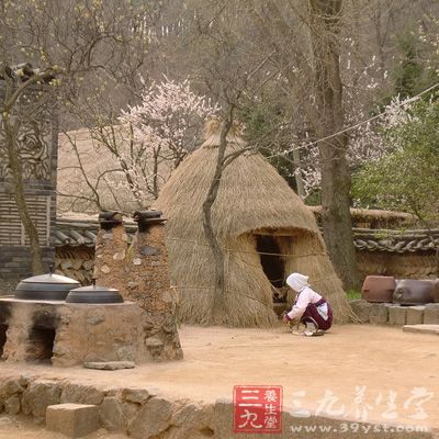 韩国旅游 韩国旅游10大必买品(3)