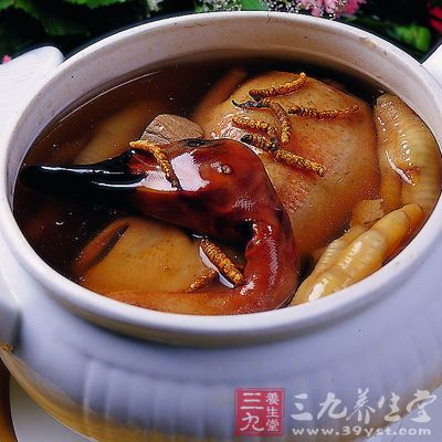 吃货立冬养生必备食谱二： 虫草蒸老鸭