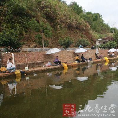 钓鱼技巧 竞技钓小鲫鱼的七大技巧(3)