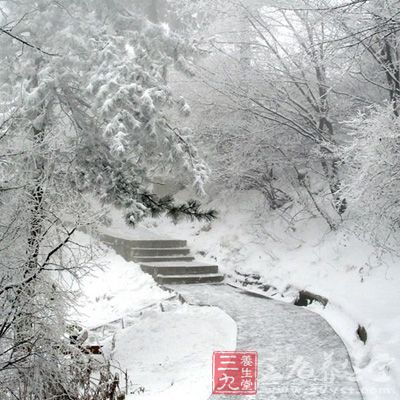 游客可欣赏到难得一见的华山雪景