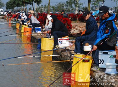 竞技钓鱼以鱼定线组，并因时间限制必须以快的速度完成从刺鱼到抄鱼的全过程