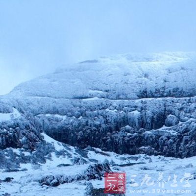 云南勐腊热带雨林重走茶马古道