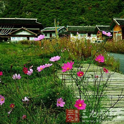 荷叶寨 是九个藏族村寨中大的一个，建有一片藏族风格的旅馆