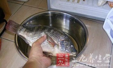 鱼放在冰箱中贮存时，常会变得太干，如果放置盐水中冰冻即可防止发干