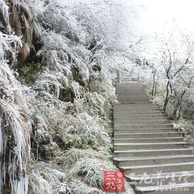 梵天净土，桃园铜仁