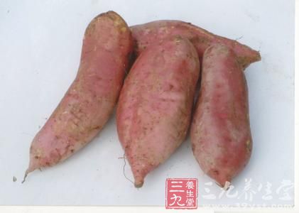 　红薯一定要蒸熟煮透再吃，因为红薯中的淀粉颗粒不经高温破坏，难以消化。
