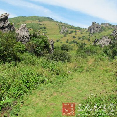 一般頭痛，患者自己可用雙手食指分別按壓頭部雙側(cè)太陽(yáng)穴(太陽(yáng)穴在眉梢與外眼角中間向后一寸凹陷處)