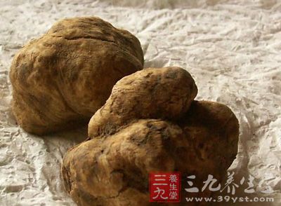 白松露菌(学名：Tuber magnatum)，野生真菌类，松露的一种，于1950年首次被发现，产于意大利，是现时昂贵的食用菌类，只会在每年10月至12月期间，于意大利和克罗地亚北部出现，因为稀少而被世人抬举，通常出现于拍卖会及传媒头条新闻。