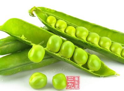 　大豆為豆科大豆屬一年生草本植物，原產(chǎn)我國(guó)。我國(guó)自古栽培，至今已有5000年的種植史。