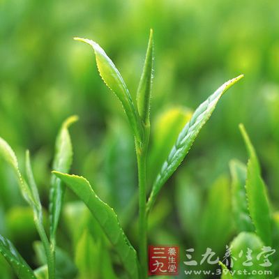 B群维生素及维生素C:为水溶性，可由饮茶中获取