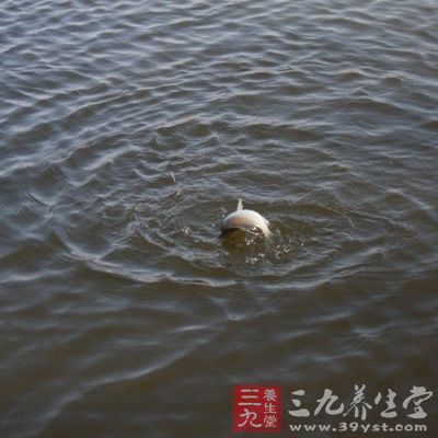 　调漂应根据天气、温度、鱼情、水情等不同情况，施用不同的调整方法