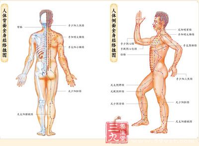 有108个要害穴，其中有72个穴一般采用按摩手法点、按、揉等不至于伤害人体，其余36个穴是致命穴，俗称“死穴”。 