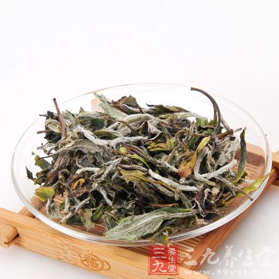 壽眉是用采自菜茶(福建茶區(qū)對一般灌木茶樹之別稱)品種的短小芽片和大白茶片葉制成的白茶