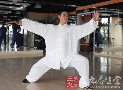 陈氏太极拳老架一路 分段演示视频