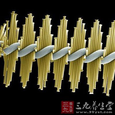 某类牙刷放大图，一定要认真的刷牙哦思密达。