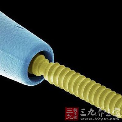 用于给蛀牙打洞的牙医工具