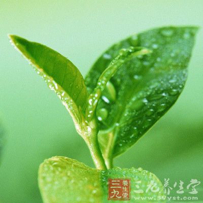 有助于延緩衰老，茶多酚具有很強(qiáng)的抗氧化性和生理活性