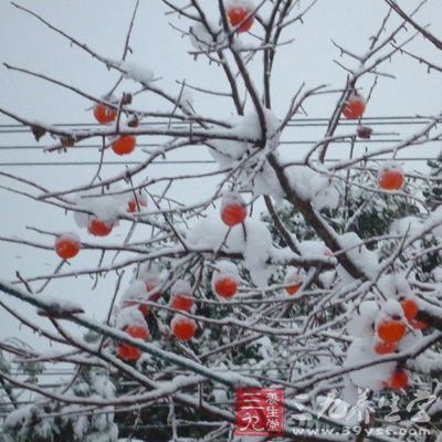 “小雪氣寒而將雪矣，地寒未甚而雪未大也