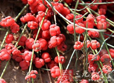 冬季哮喘食疗 5款药膳帮你摆脱哮喘