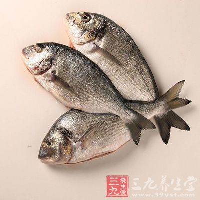 鱼脑中含有丰富的多不饱和脂肪酸和磷脂类物质