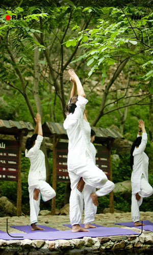 001o3hgyzy6KNC17cjX5d&690