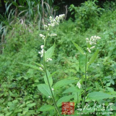 苏木15克，刘寄奴10克，菖蒲10克，郗莶草15克，鸡血藤30克，泽兰10克，赤芍10克，川芎6克。