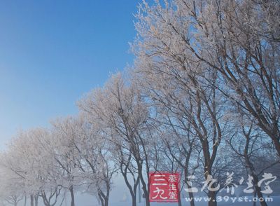 冬天的时候，天气寒冷，人们都喜欢在这个时候多吃一些滋补的食物来进补