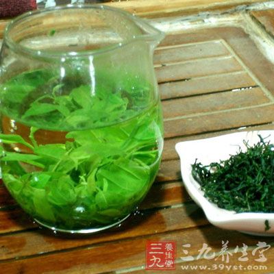 可以常用沸水冲泡菊花、苦丁茶饮用