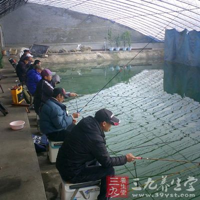 低氣溫在4℃以上的11月和12月初時(shí)，釣?zāi)扛叩蛯?duì)魚(yú)訊的表現(xiàn)影響不大