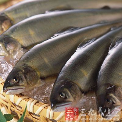 生魚和烈酒：許多人都有吃生魚的愛好，且多數(shù)魚都是河塘魚，未煮熟時帶有肝病寄生蟲，這些寄生蟲進入身體后可以引起肝臟損傷，長此以往可以引起癌變。有人認(rèn)為喝烈酒能夠殺毒，其實這更加劇了癌變的可能。此外，飲酒可以引起酒精肝、肝炎等肝臟疾病，這些疾病都有癌變的可能，因此酒精是肝癌發(fā)生的一大誘因。