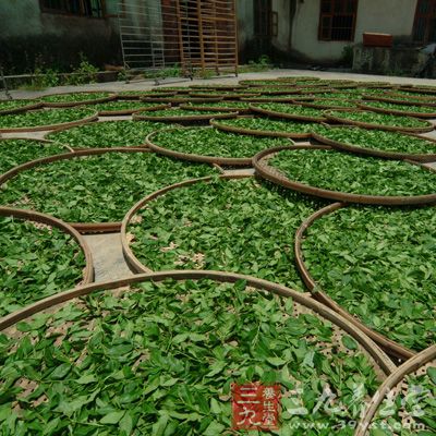 北方通稱"茶香"。茶葉經(jīng)開(kāi)水沖泡五分鐘后，傾出茶汁于審評(píng)碗內(nèi)，嗅其香氣是否正常