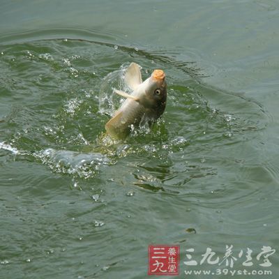 釣魚于江河湖海，空氣清新，陽光充足，噪音小，是養(yǎng)身保健的良好環(huán)境