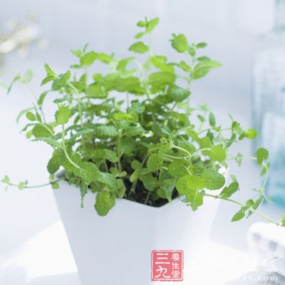 對(duì)人類(lèi)健康為有益的植物色彩莫過(guò)于綠色