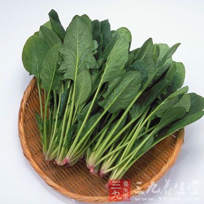 菠菜是受農(nóng)藥殘余污染嚴重的蔬菜之一