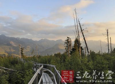 瑞士Grasburg城堡据说是昔日贵族的娱乐中心，现如今部分遗址已进行了修缮，成为当地学生、和远足团体喜爱的度假胜地