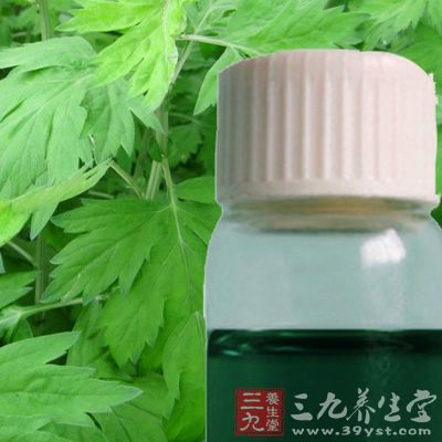 艾葉油對(duì)小鼠也有明顯的利膽作用，使其膽汁流量增加26%。