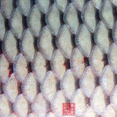 含丰富的不饱和脂肪酸、卵磷脂、胶原蛋白以及钙、磷等元素,具有抗衰老、抗癌变和防治动脉粥样硬化、冠心病、脑梗塞的功用。 含丰富的不饱和脂肪酸、卵磷脂、胶原蛋白以及钙、磷等元素,具有抗衰老、抗癌变和防治动脉粥样硬化、冠心病、脑梗塞的功用。